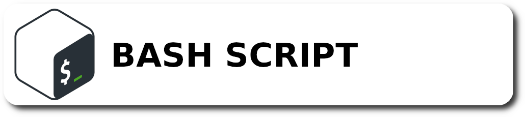 Bash Scripting